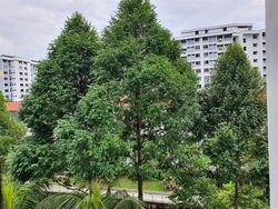 Blk 501 Jelapang Road (Bukit Panjang), HDB 4 Rooms #500158091